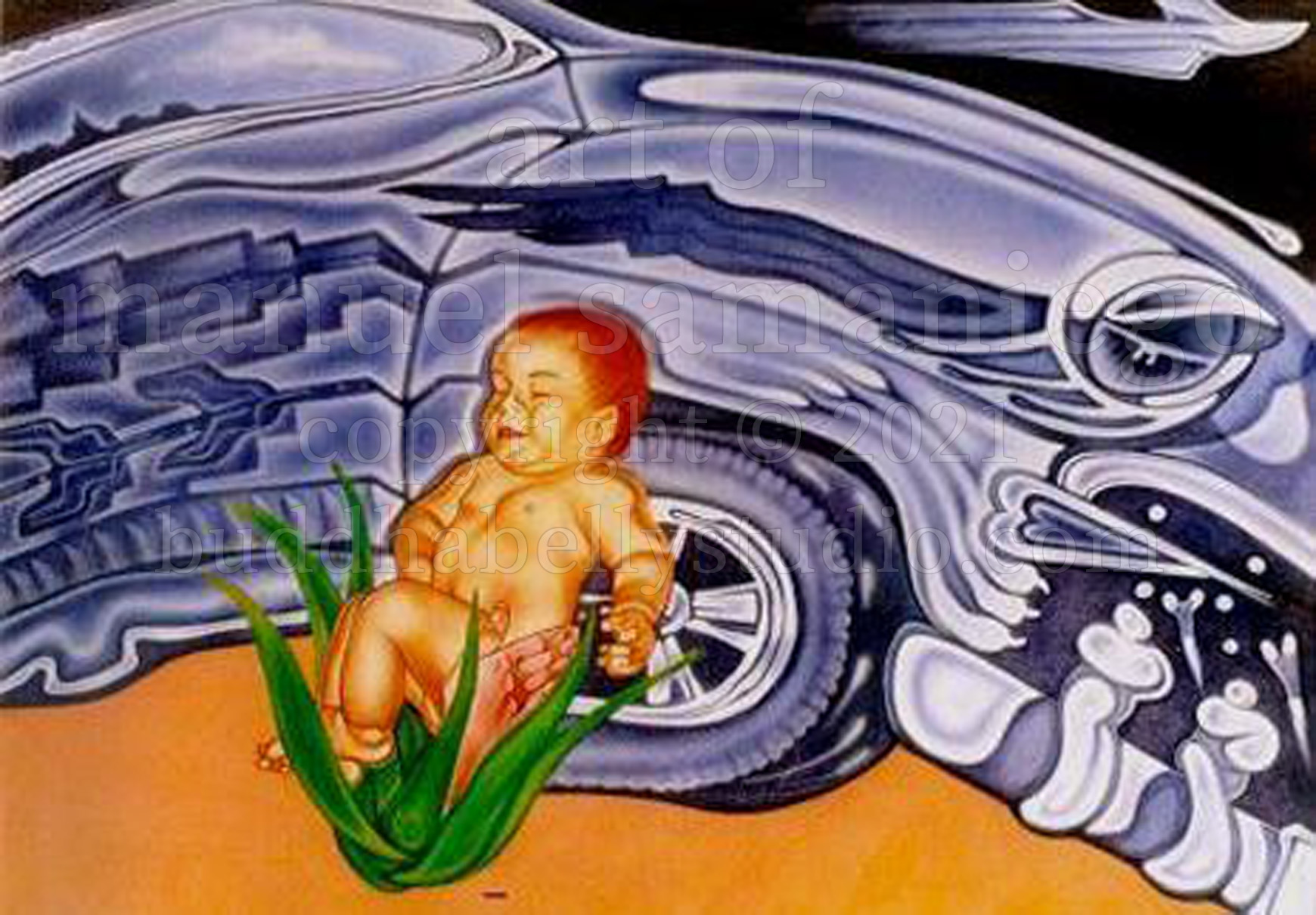 a baby, a cactus and a vehicle